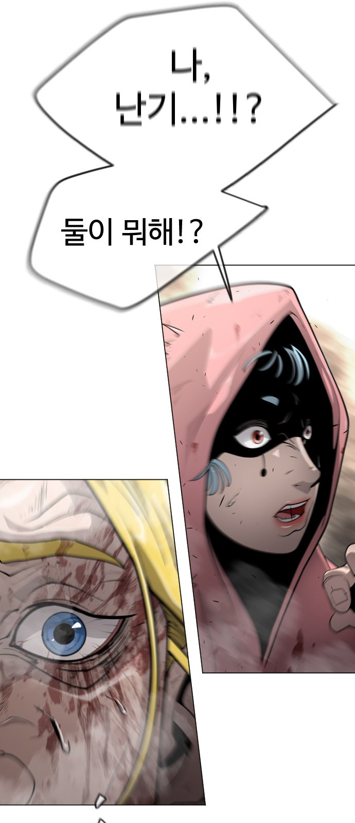 66 페이지