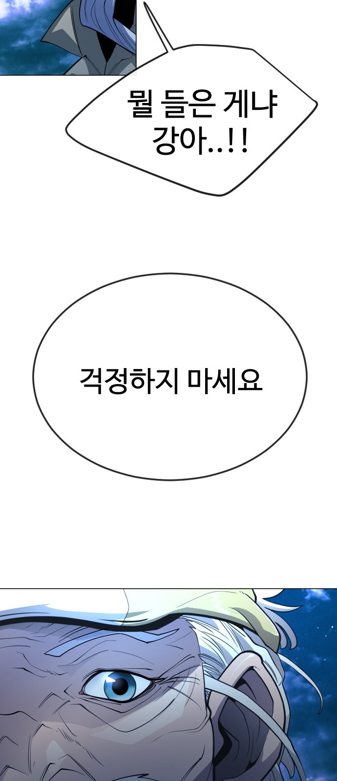 110 페이지