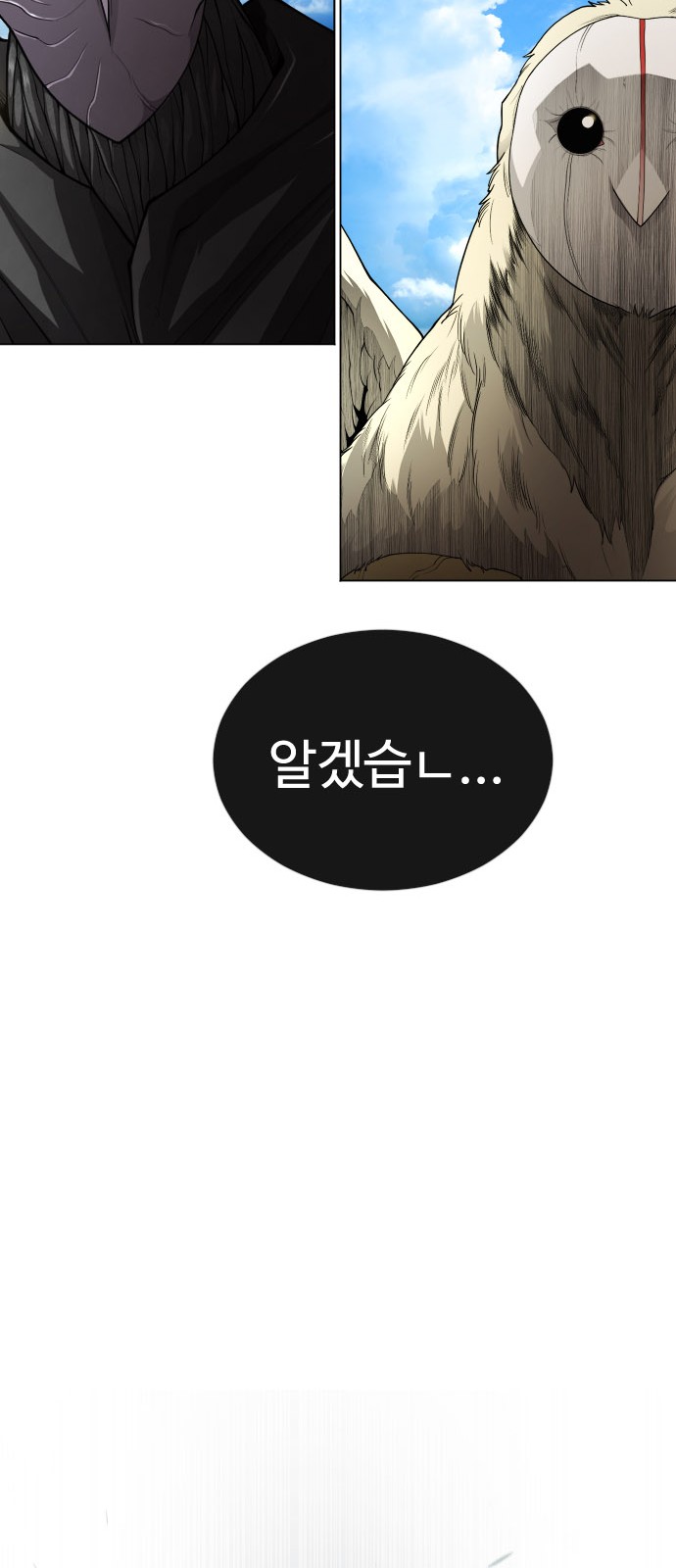 113 페이지