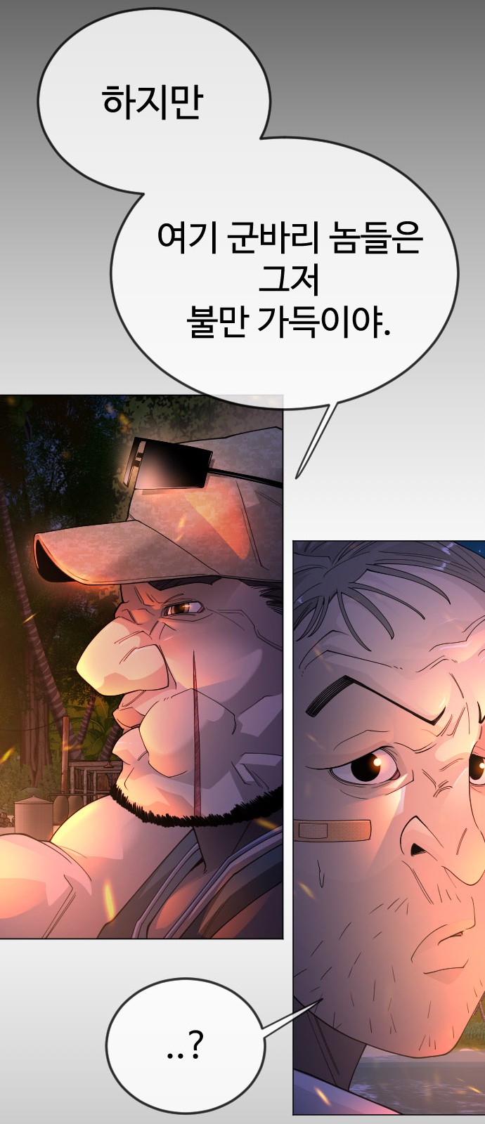43 페이지
