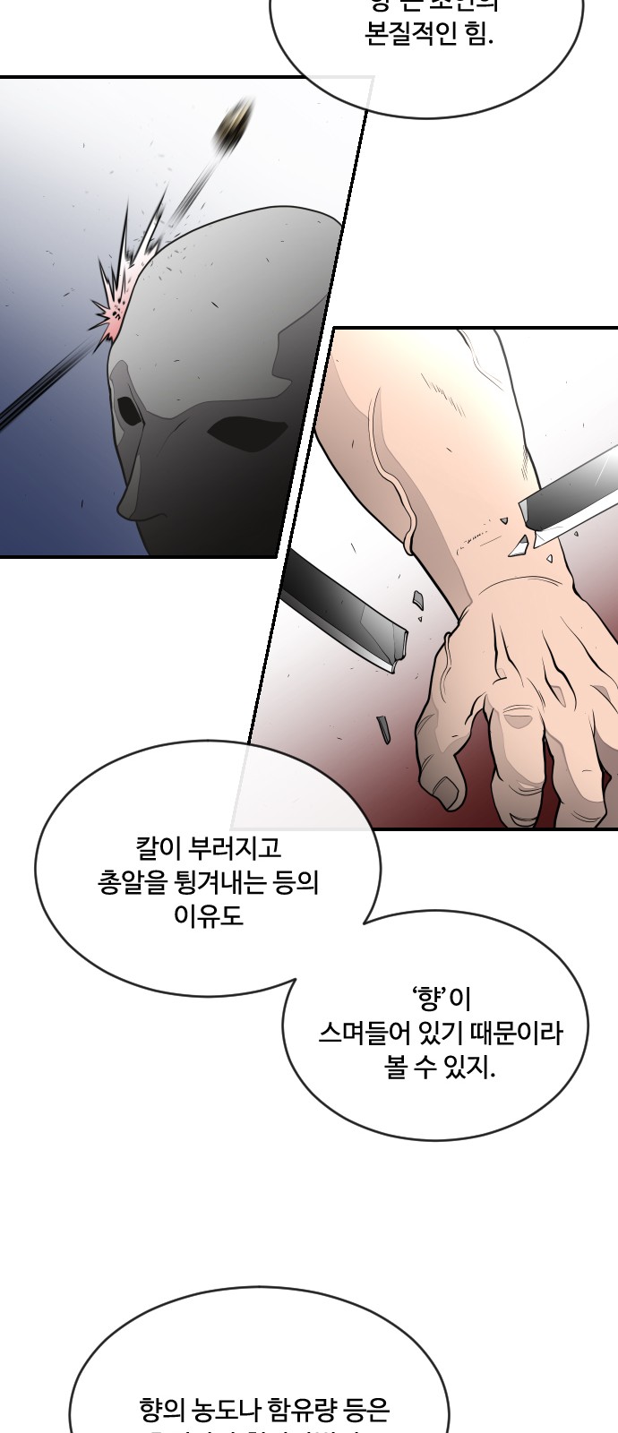 43 페이지