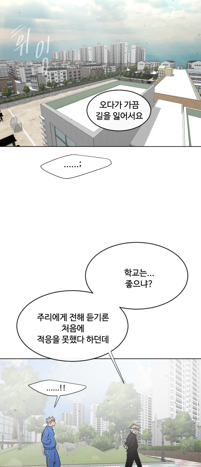 40 페이지