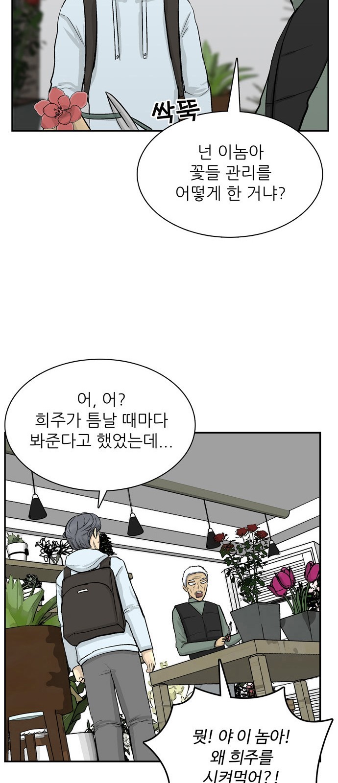 20 페이지