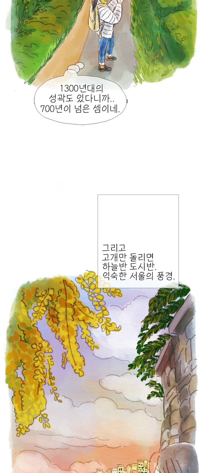 13 페이지