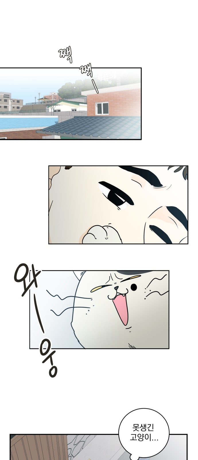 35 페이지
