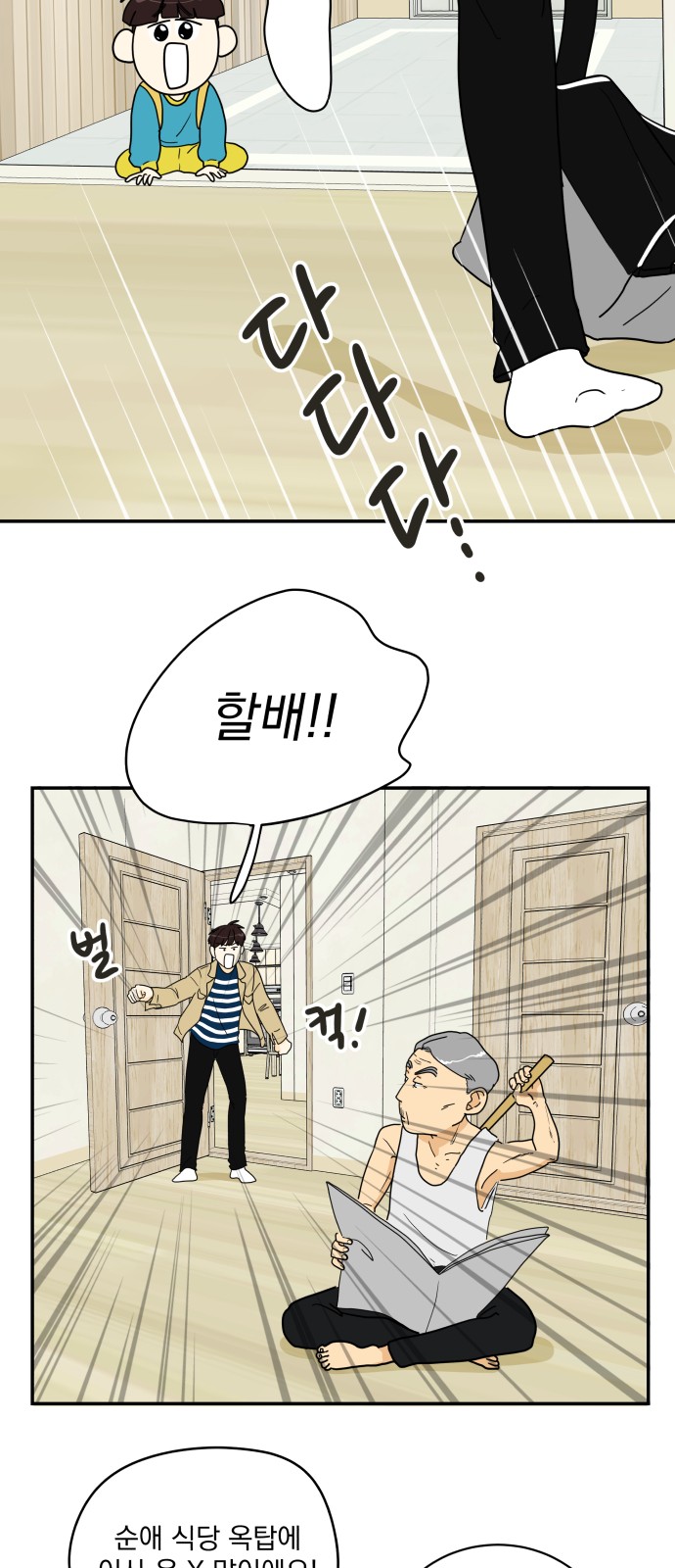 15 페이지