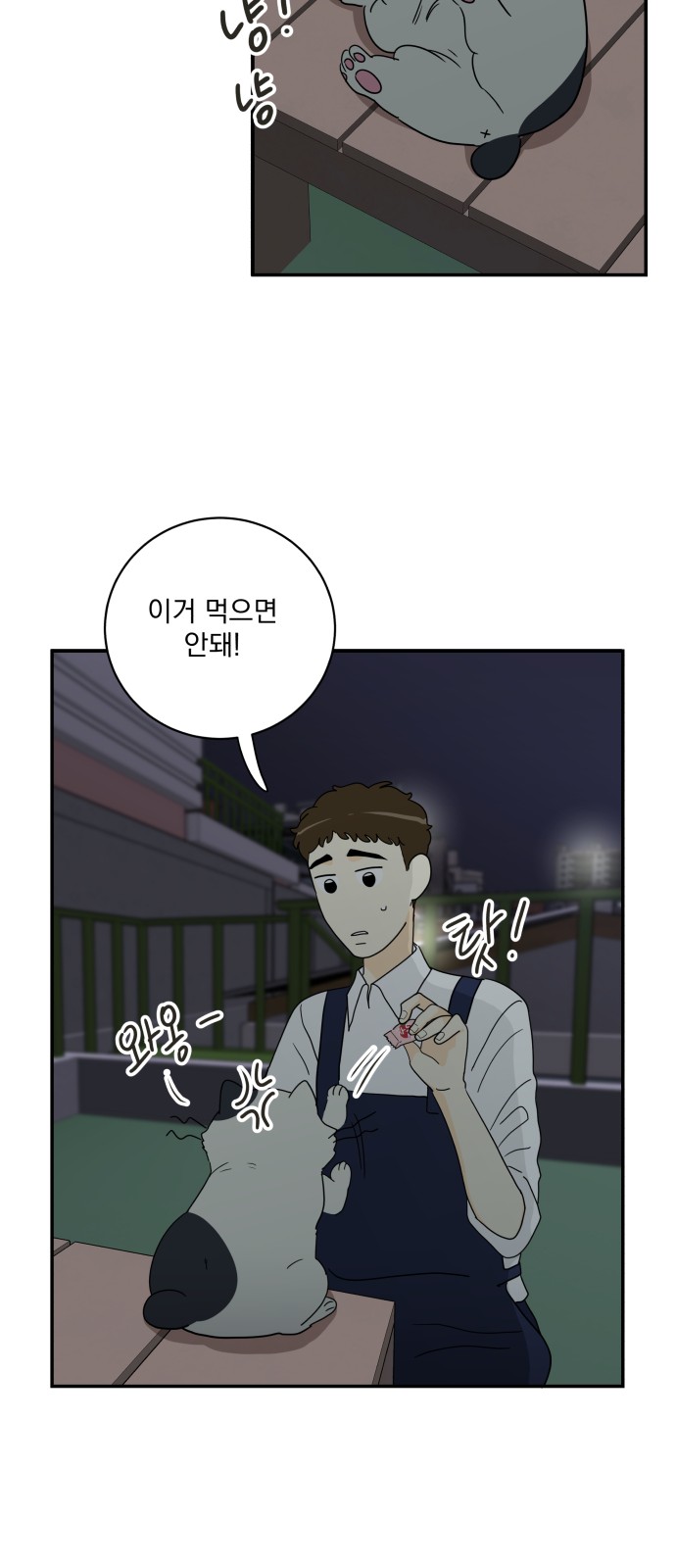 56 페이지