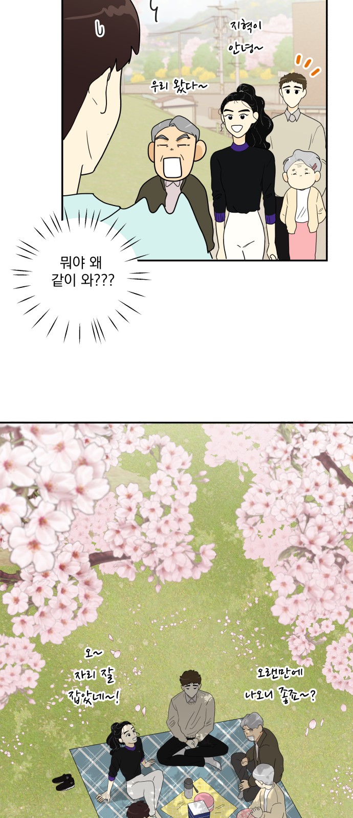 50 페이지