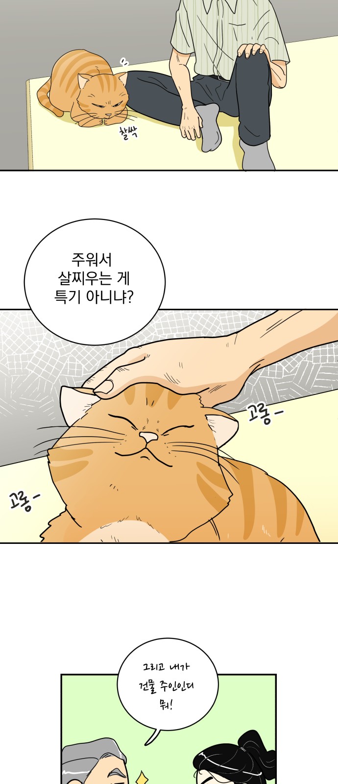 23 페이지