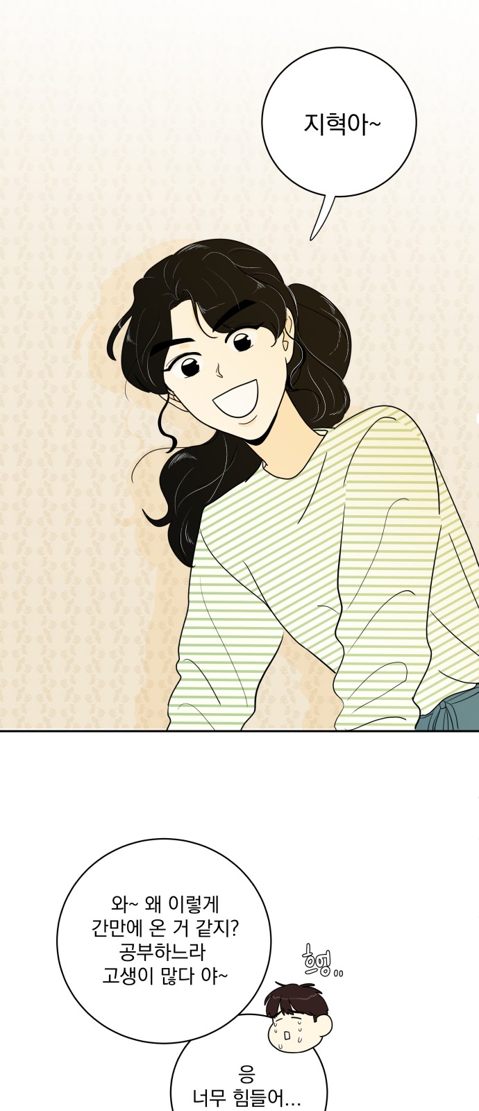 41 페이지