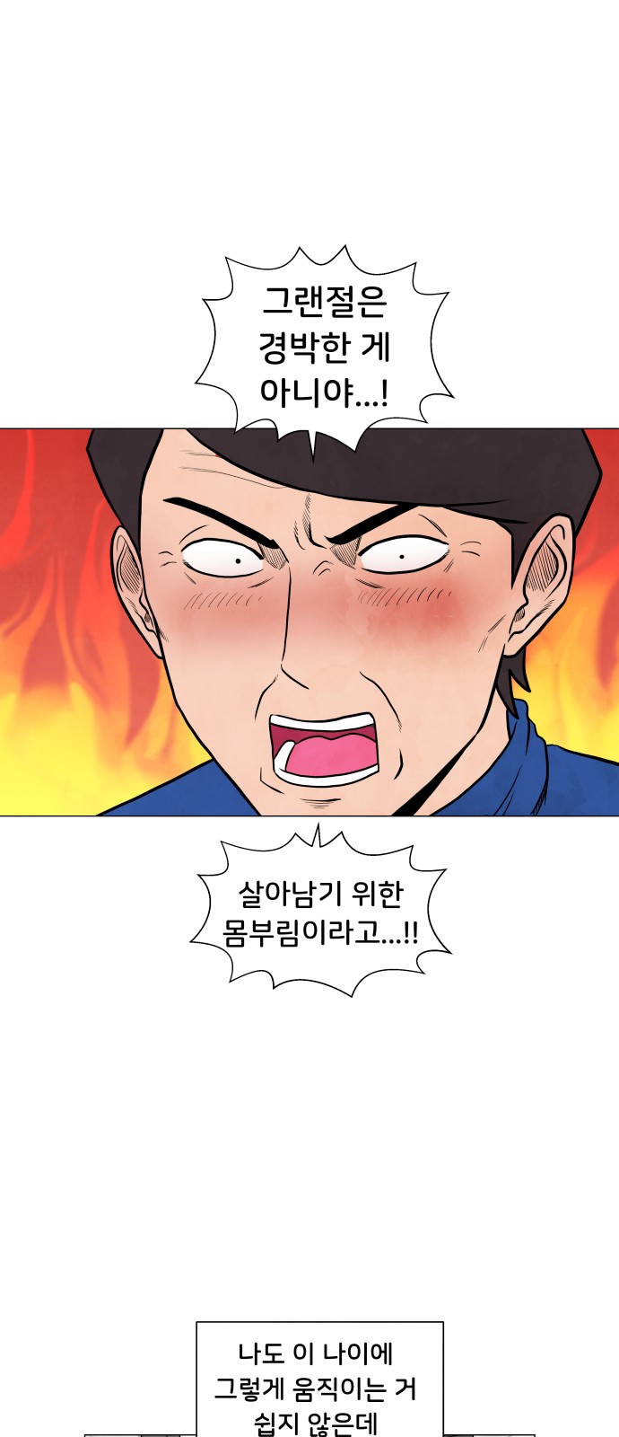 14 페이지