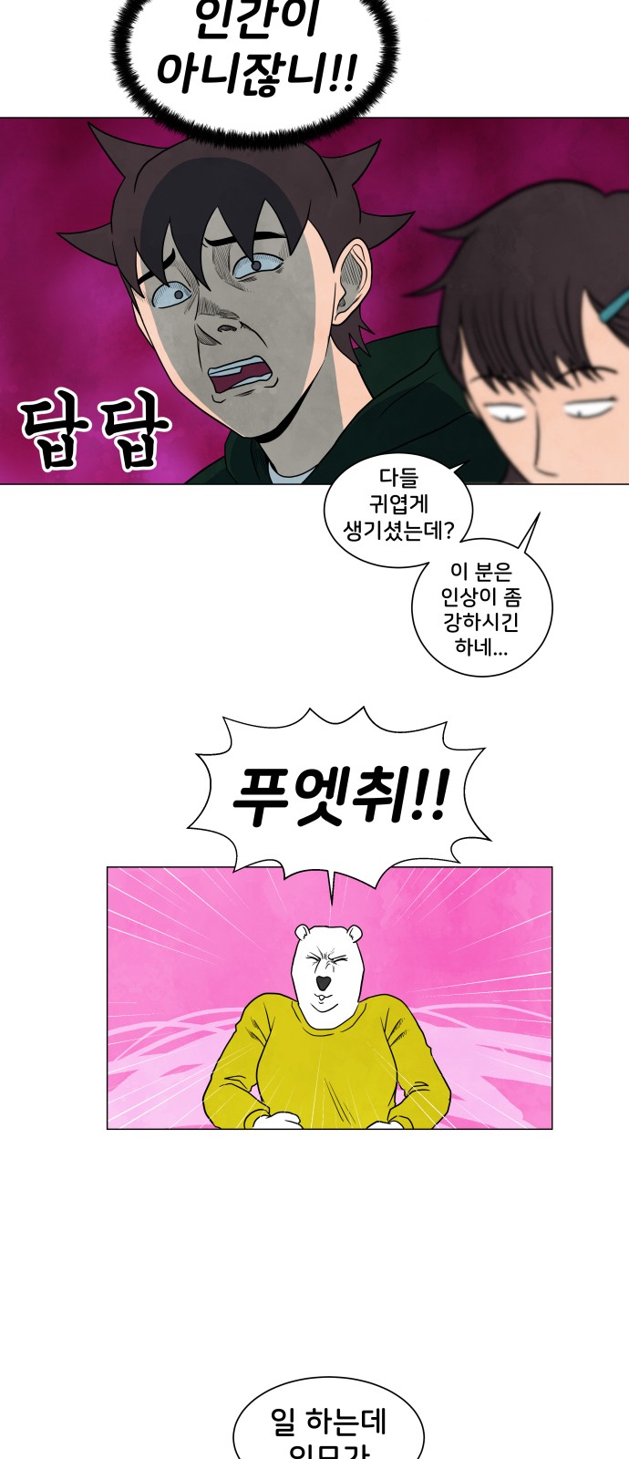 13 페이지