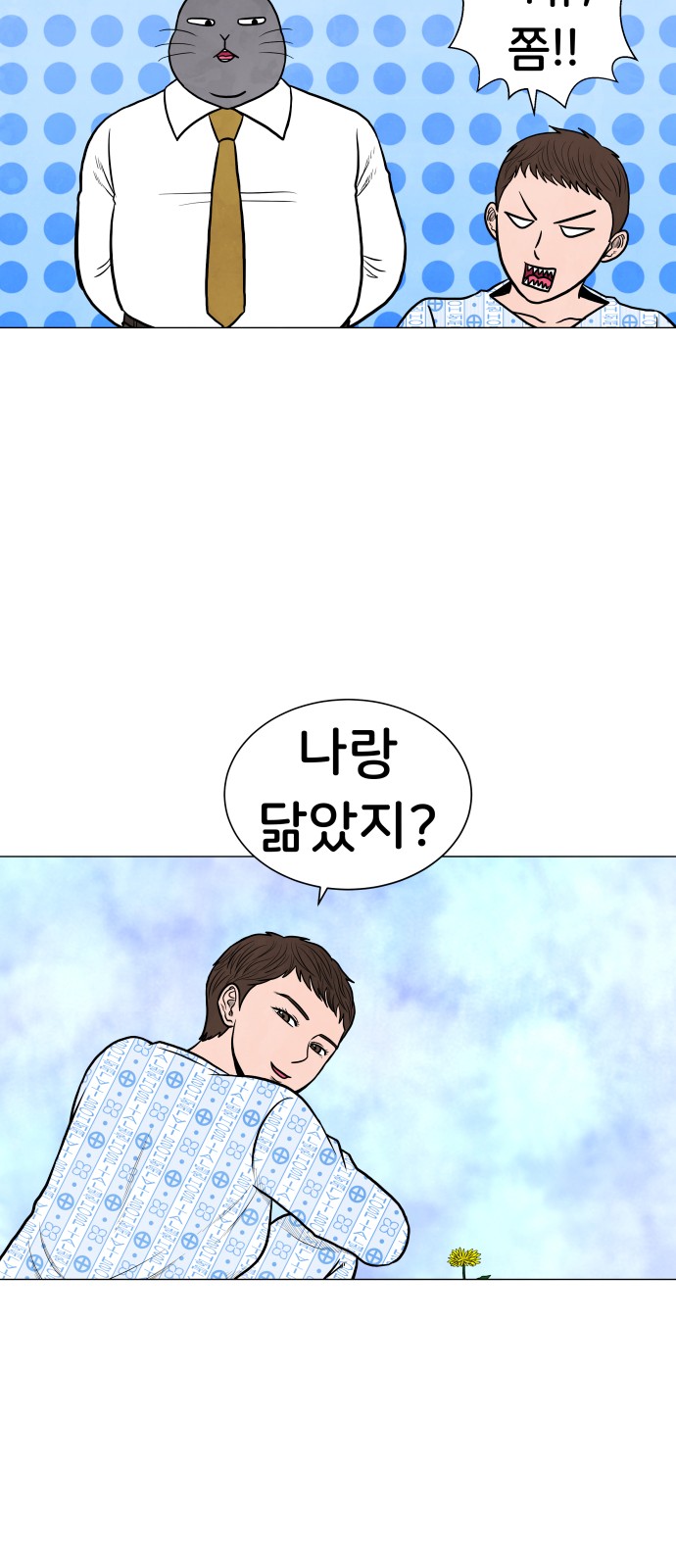 13 페이지