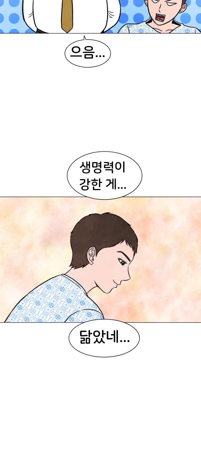 15 페이지