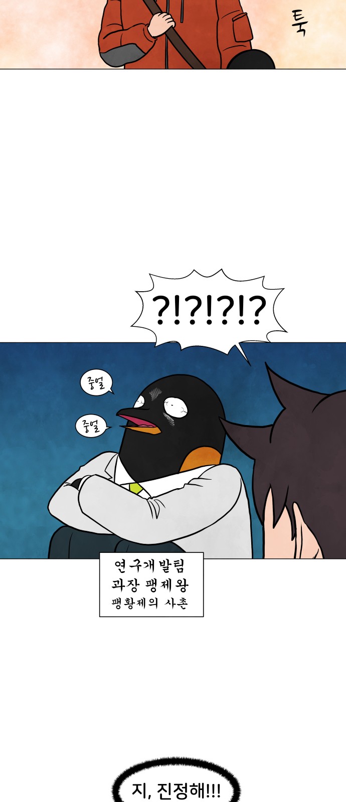15 페이지