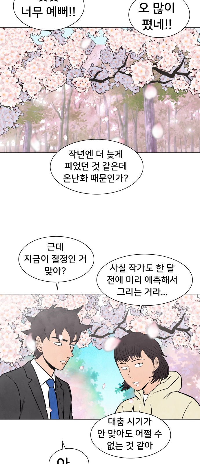 33 페이지