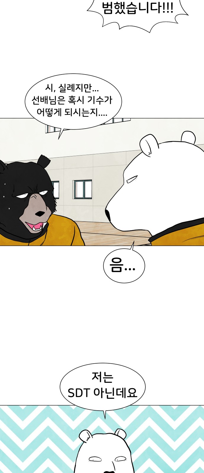 13 페이지