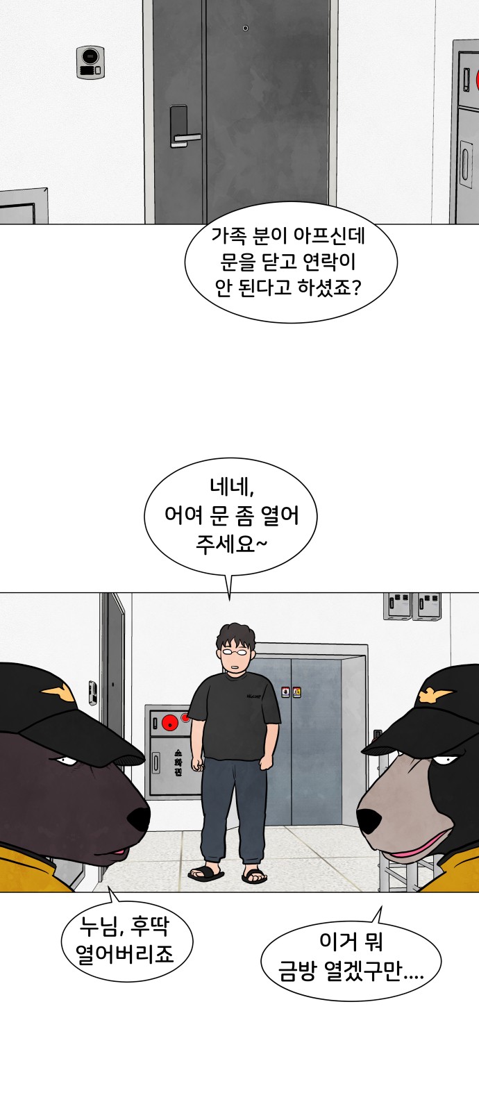 13 페이지