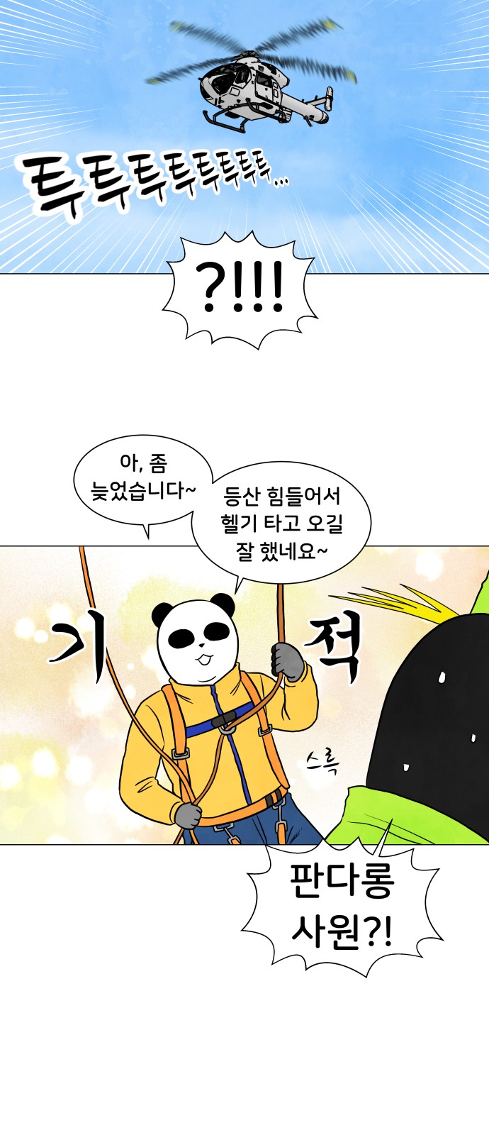 43 페이지