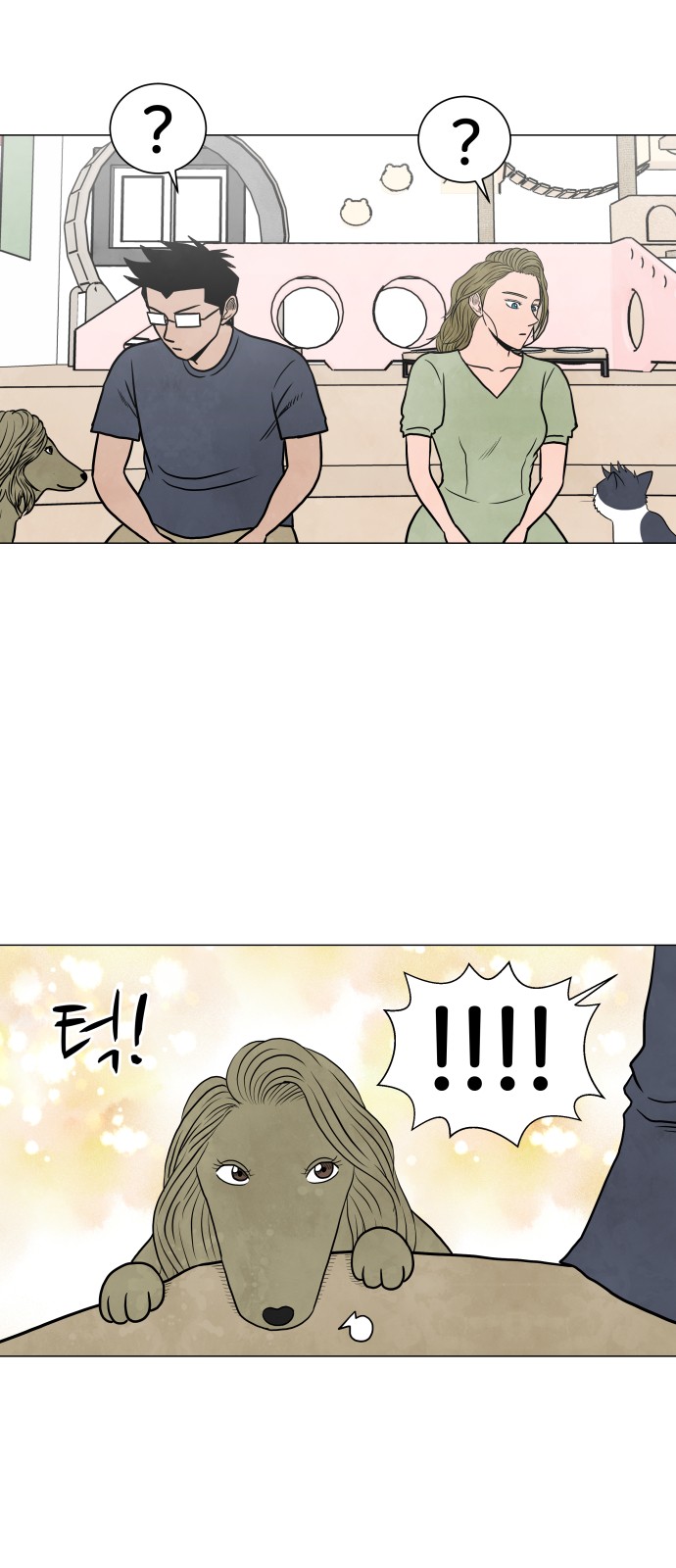 29 페이지