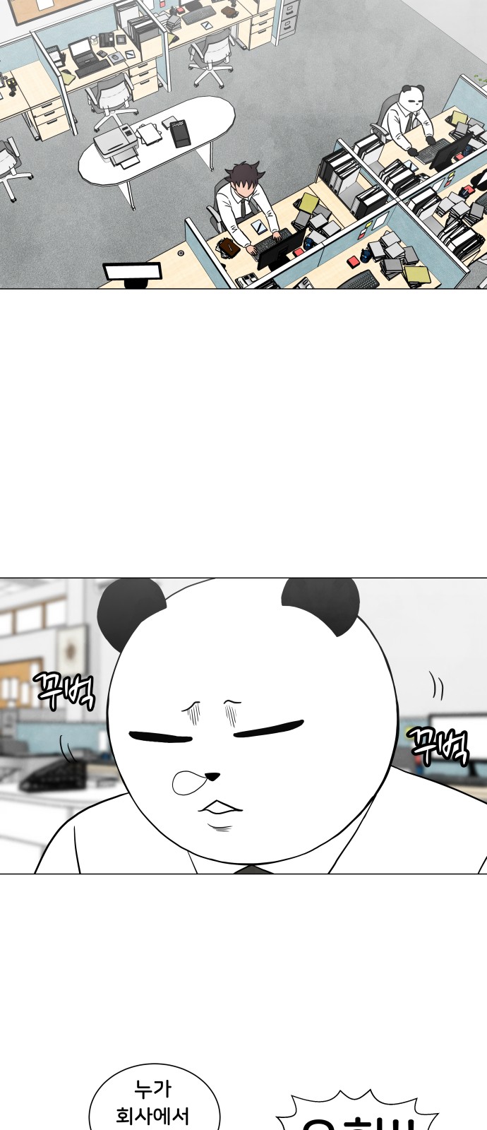 15 페이지