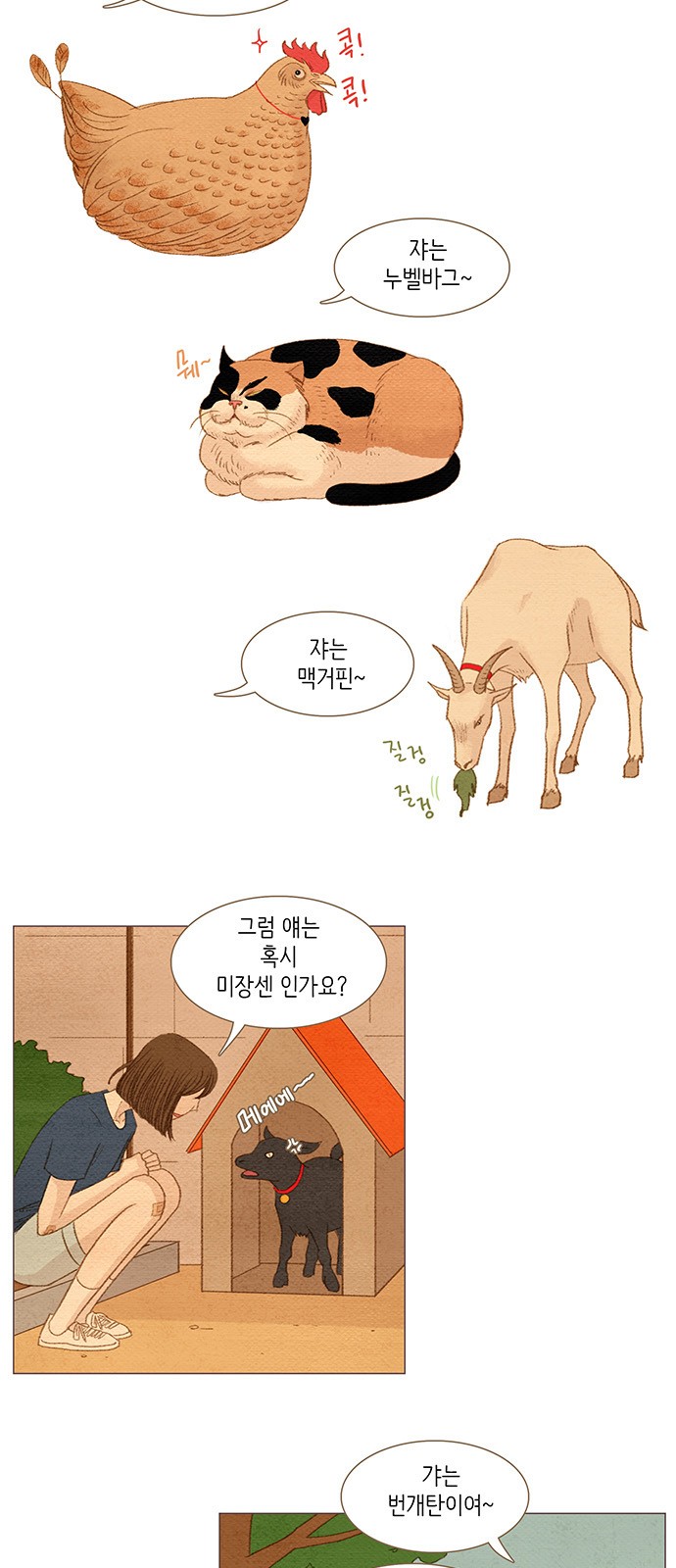 36 페이지