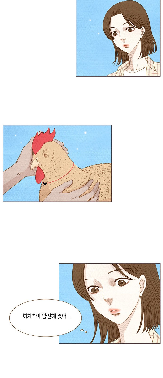 27 페이지