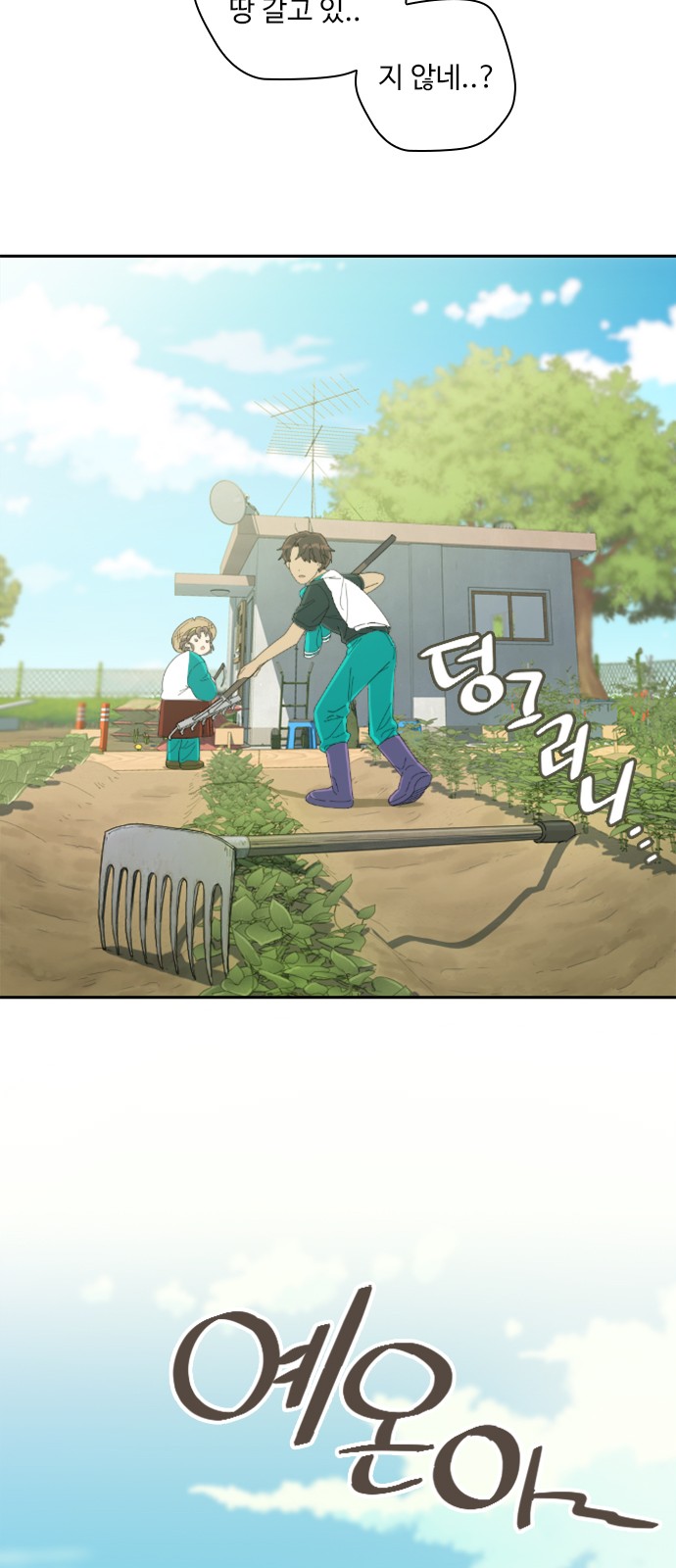 14 페이지