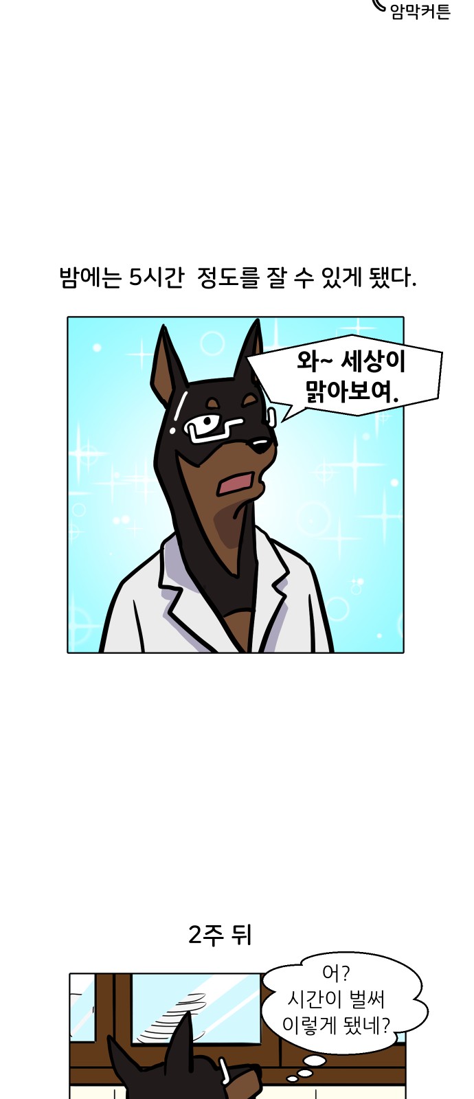 17 페이지