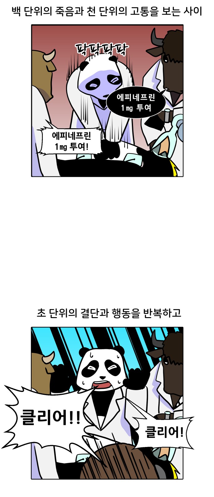 19 페이지