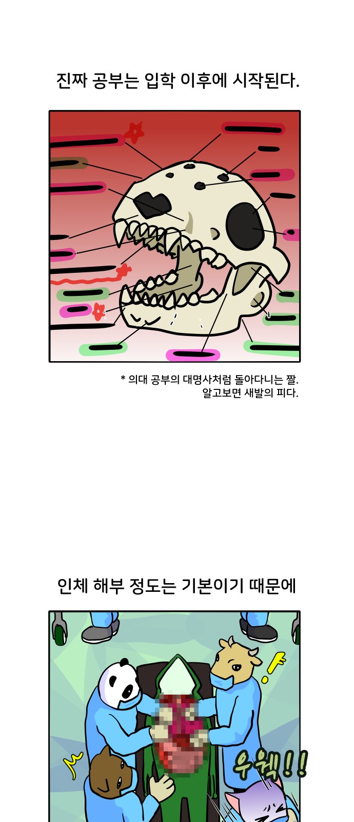 5 페이지