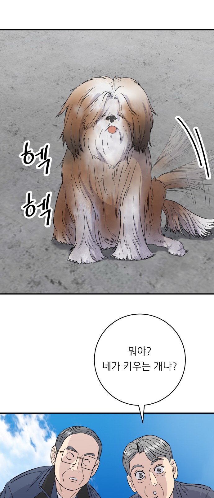 39 페이지
