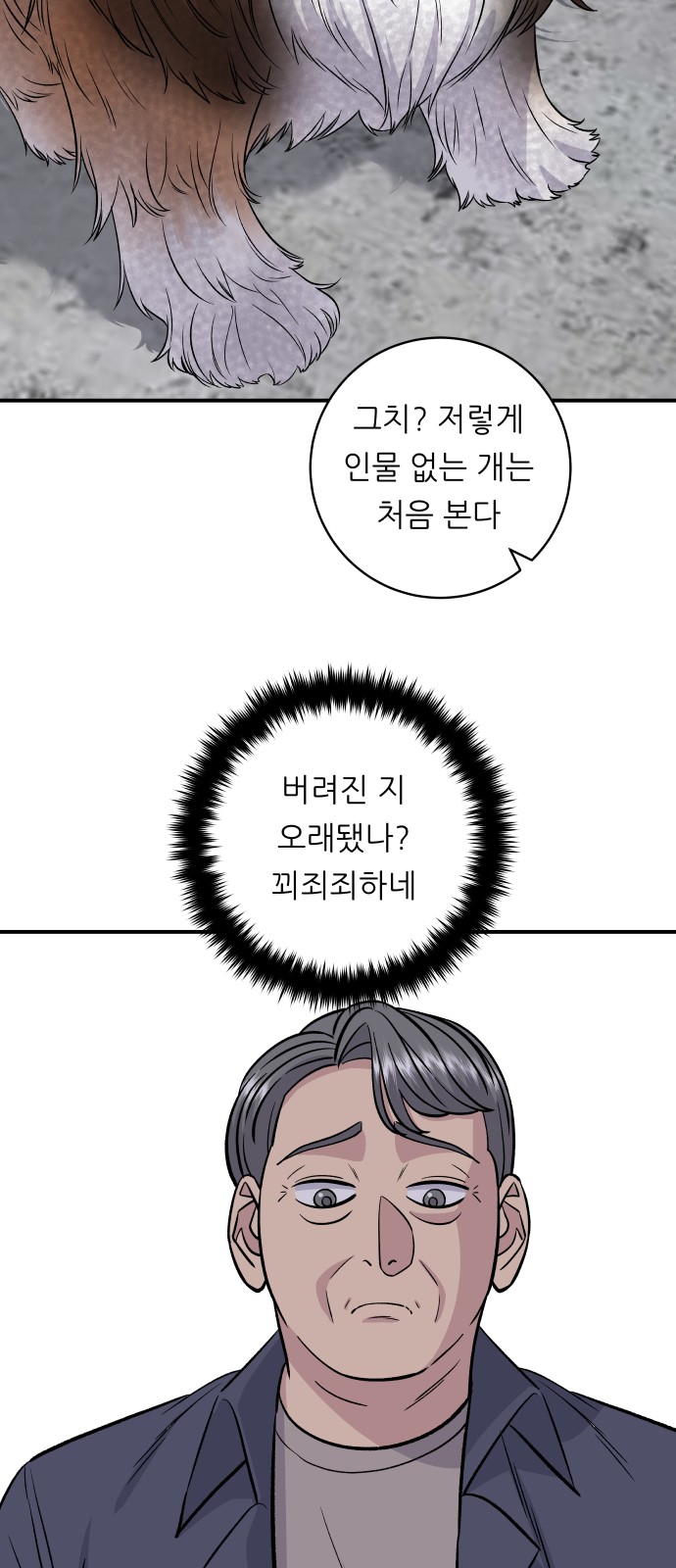 43 페이지