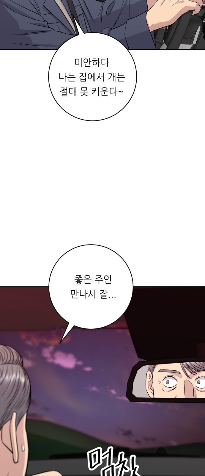 63 페이지