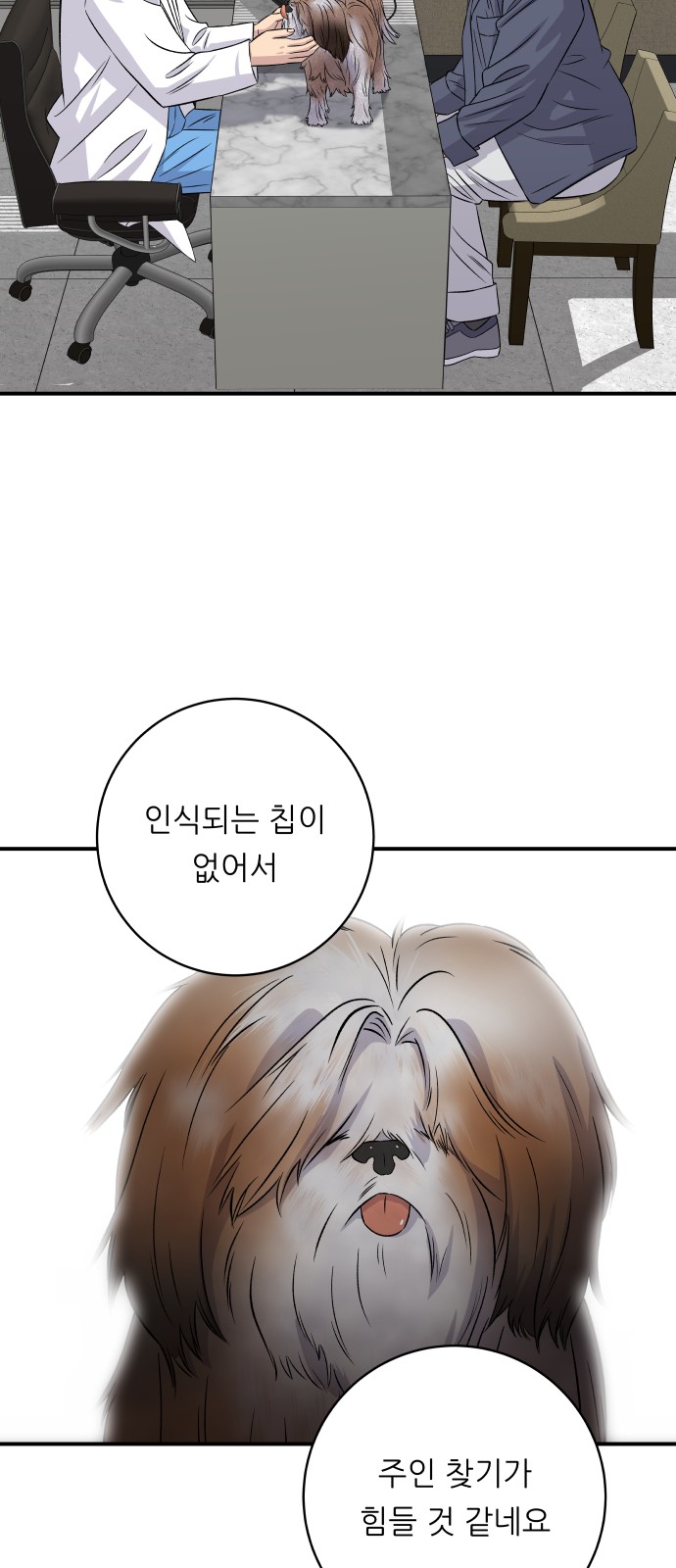 11 페이지