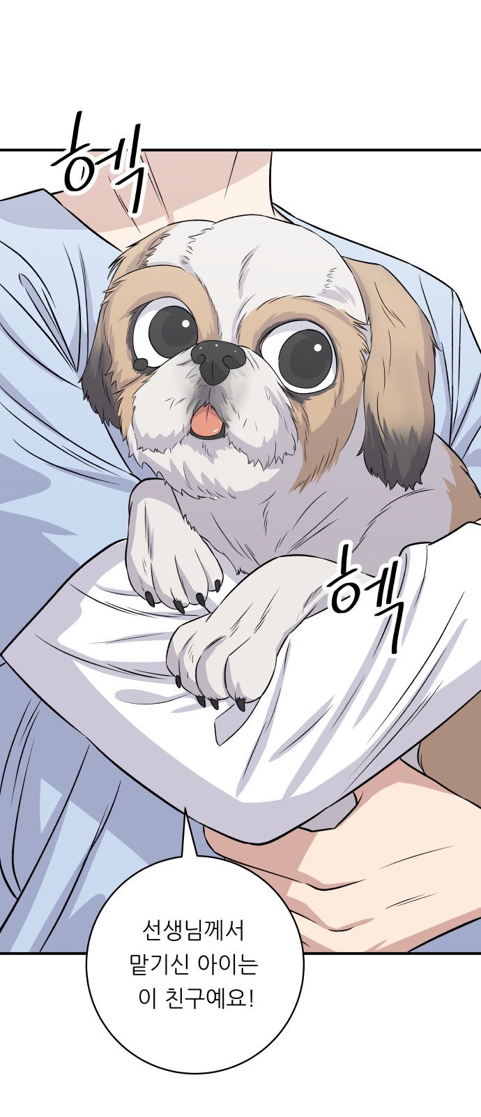 45 페이지