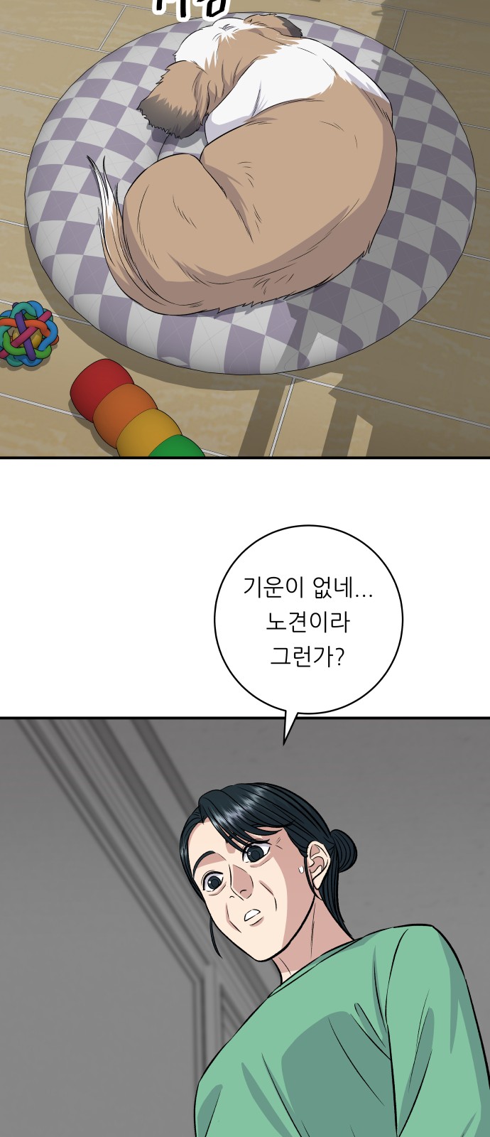 50 페이지