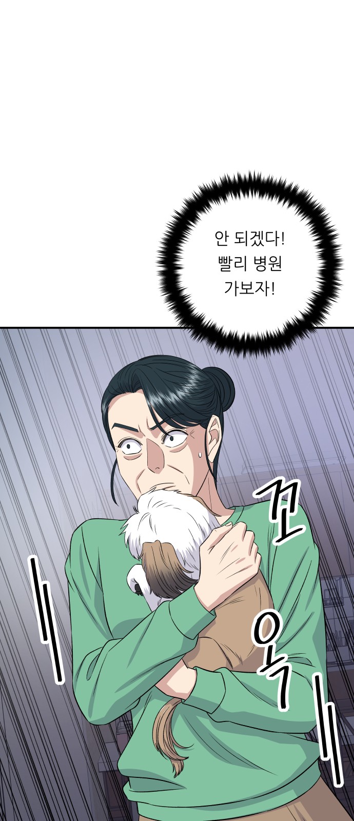 14 페이지