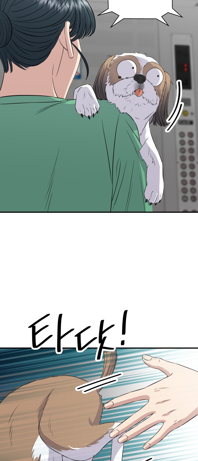 17 페이지