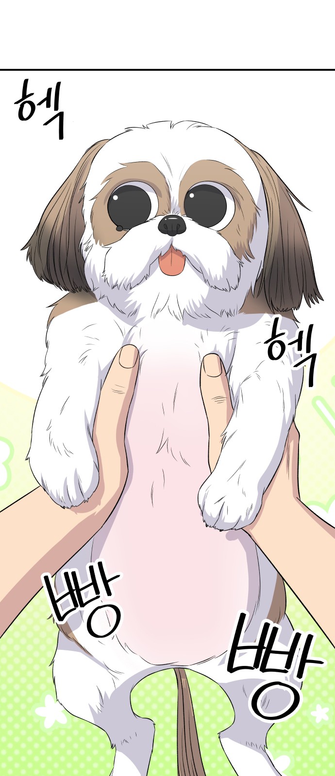 12 페이지