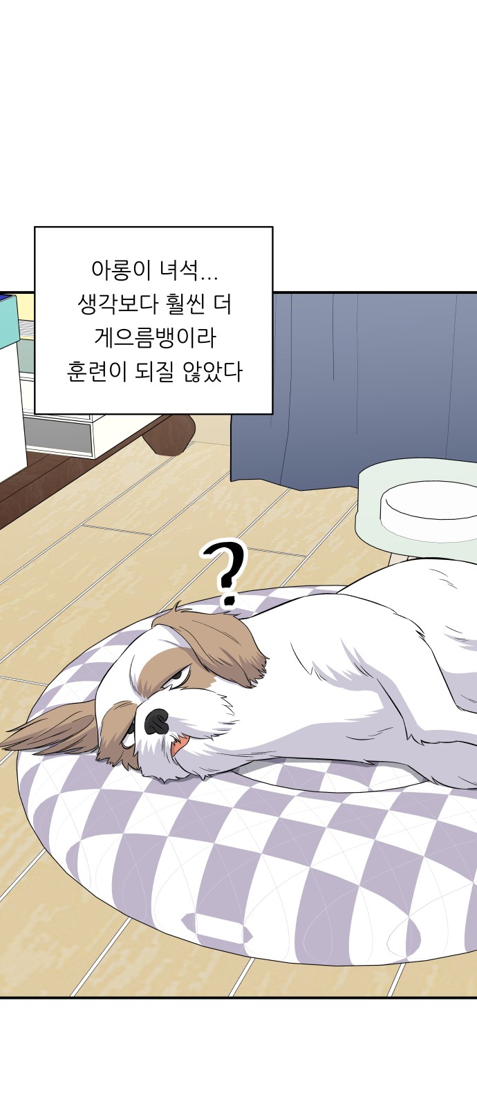 40 페이지