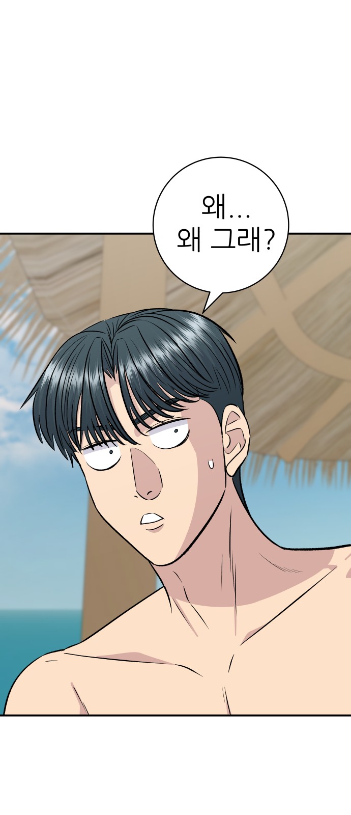 52 페이지