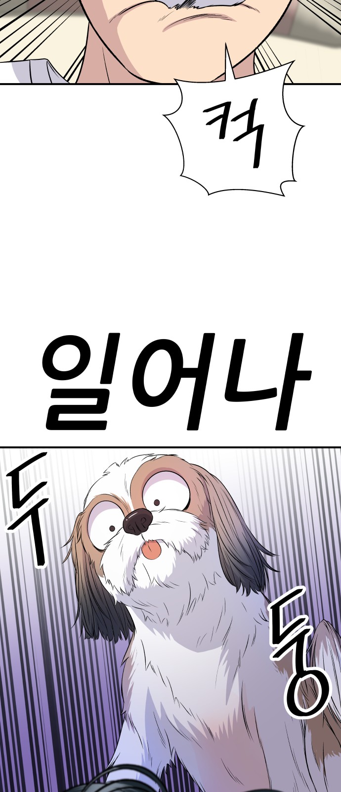 68 페이지
