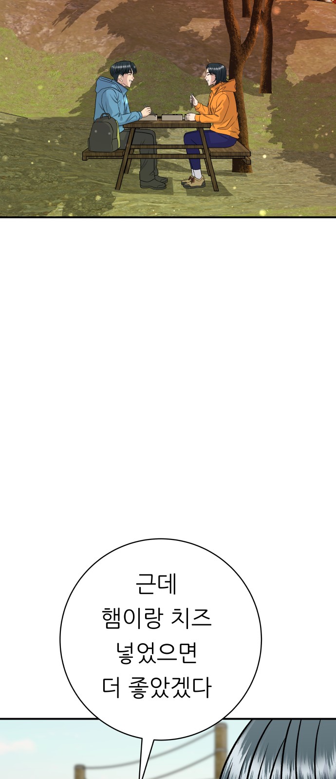 66 페이지