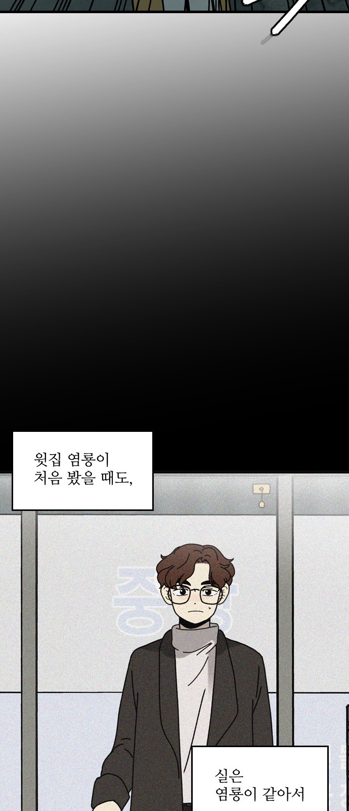 36 페이지