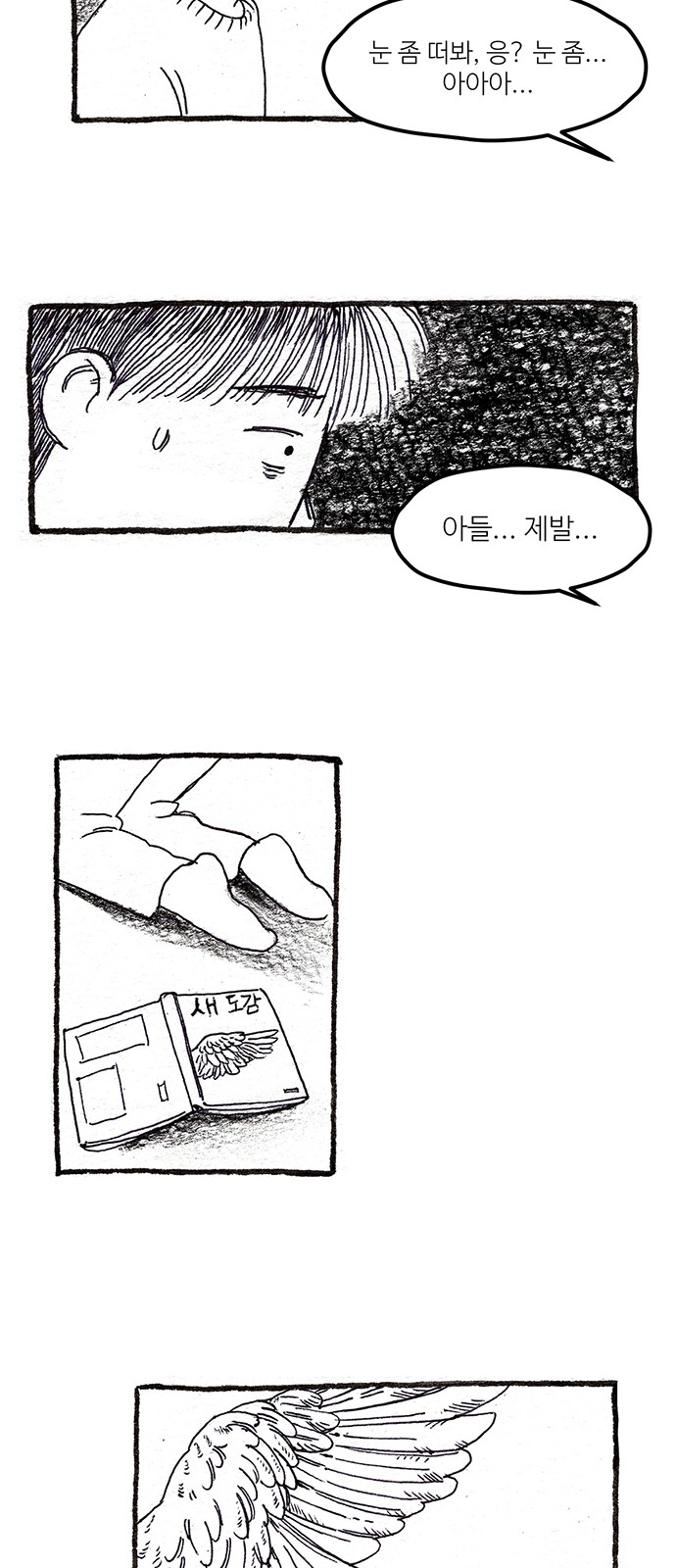 77 페이지