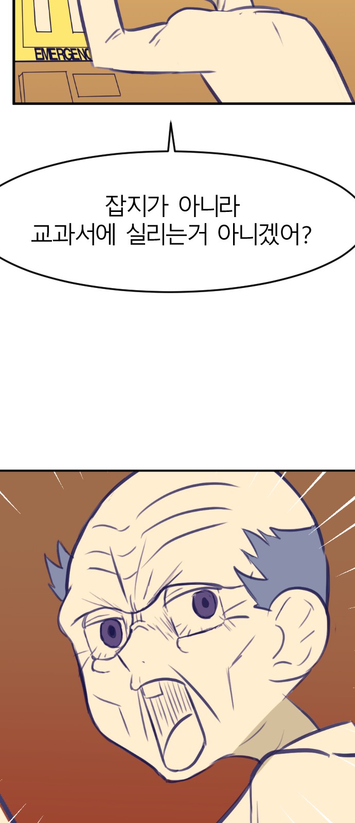 100 페이지