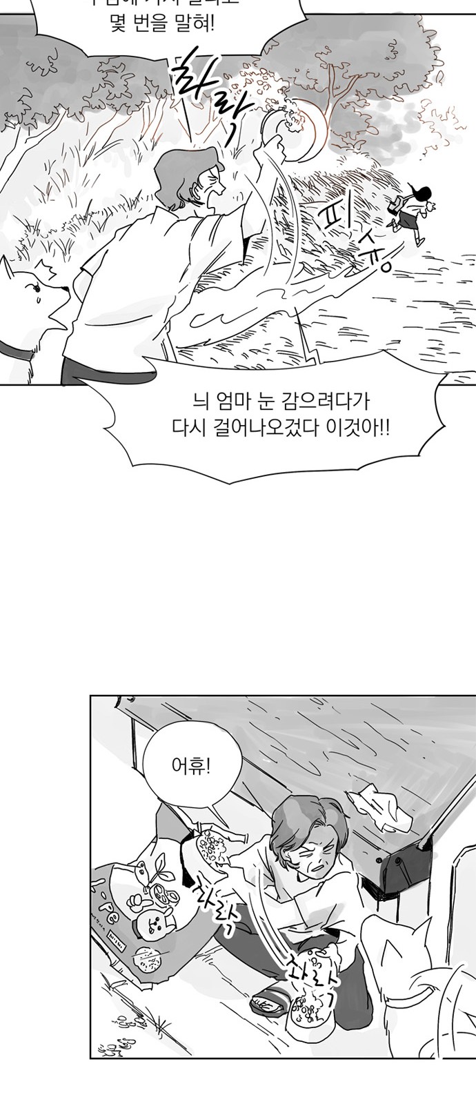 14 페이지
