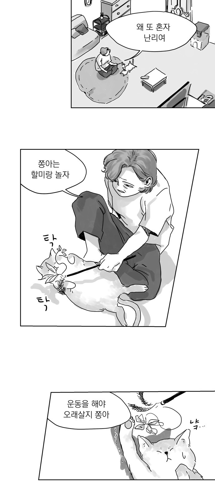 56 페이지