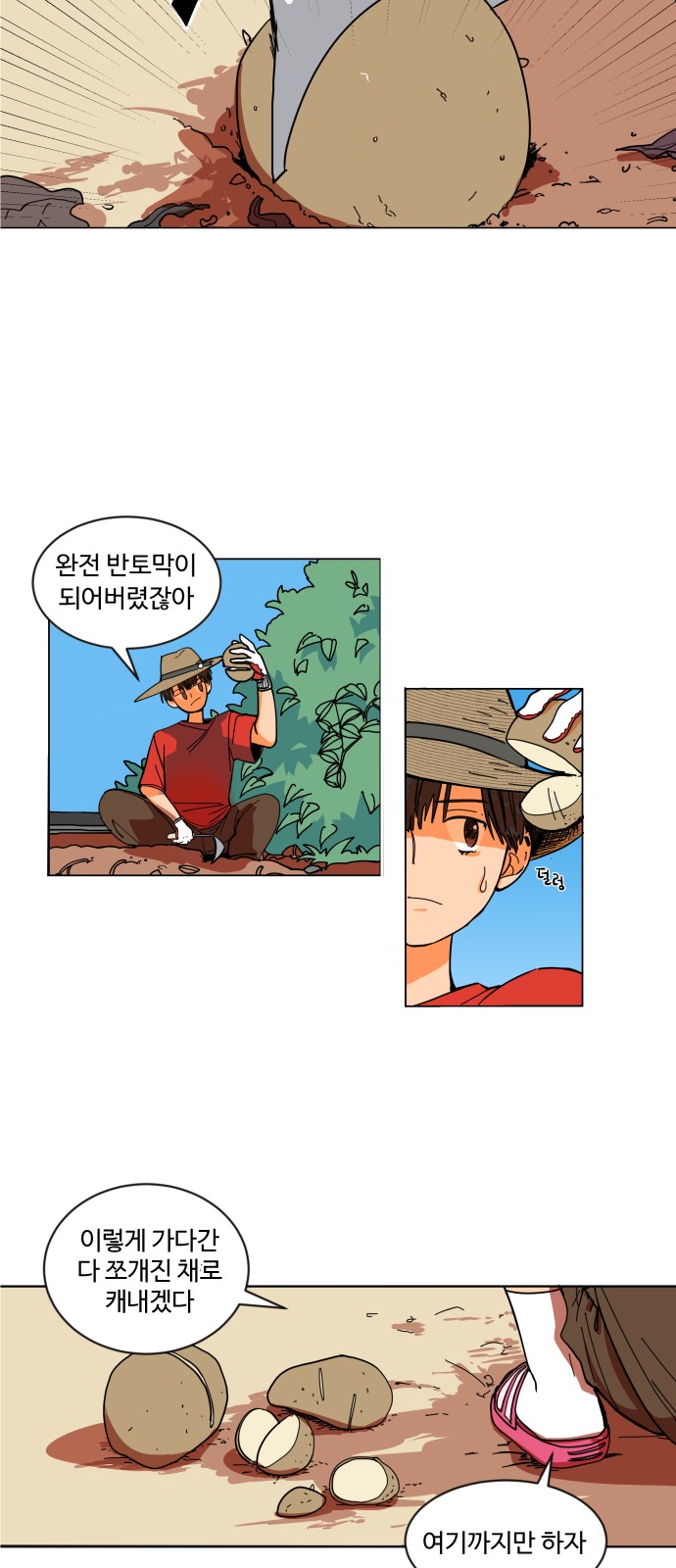 15 페이지
